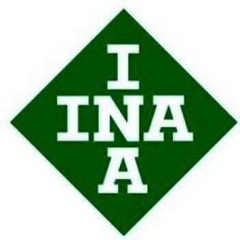 INA RNA4900-RSR Roulement à aiguilles 13x22mm