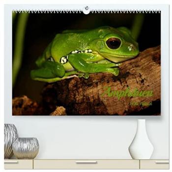Amphibien (hochwertiger Premium Wandkalender 2025 DIN A2 quer) Kunstdruck in Hochglanz