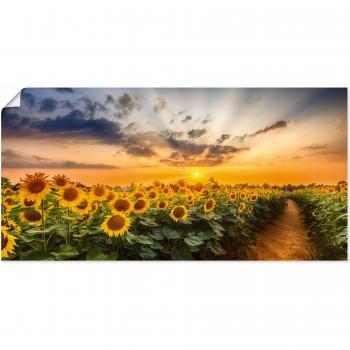 Artland Poster »Sonnenblumenmeer bei Sonnenuntergang«