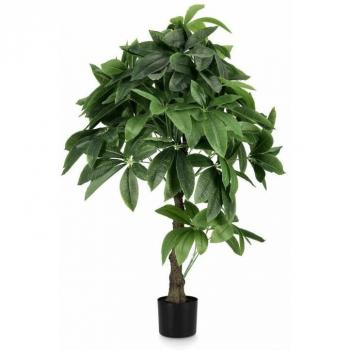 Webmarketpoint Pachira Aquatica Vaso Nero 60x120cm
