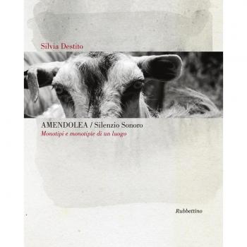 Amendolea silenzio sonoro. Monotipi e monotipie di un luogo