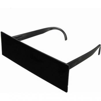 Large Frame Sun Glasses