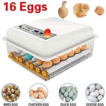 All‑Bird Egg Incubator with Built‑In Turner