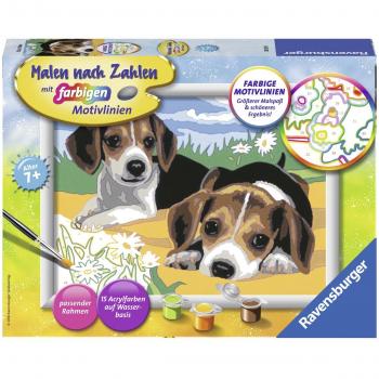Ravensburger Jack Russell Puppy Paint by Numbers, Art Kit