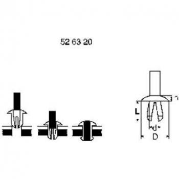 PB Fastener Natur-Spreizniete 5.4 mm