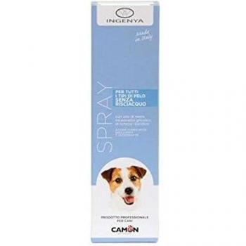 Shampoo Autosciacquante 200ml