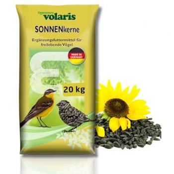 Eggersmann volaris