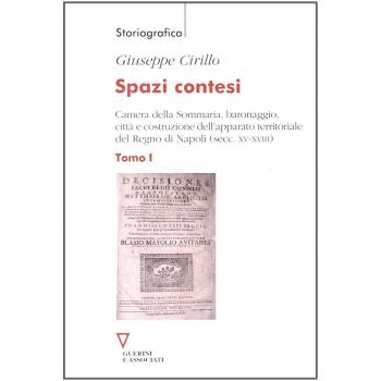 Spazi contesi. Camera della Sommaria, baronaggio, città e costruzione dell'apparato territoriale del Regno di Napoli