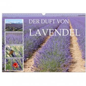Lavendel-Duft (Wandkalender 2024 DIN A3 quer)