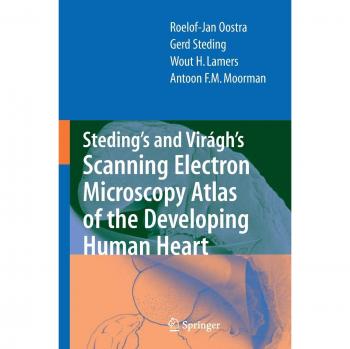Steding's and Virágh's Scanning Electron Microscopy Atlas of the Developing Human Heart