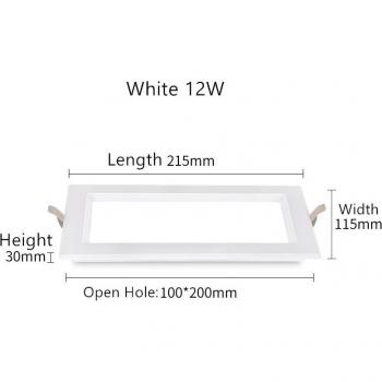 Panneau Prismatique 12W
