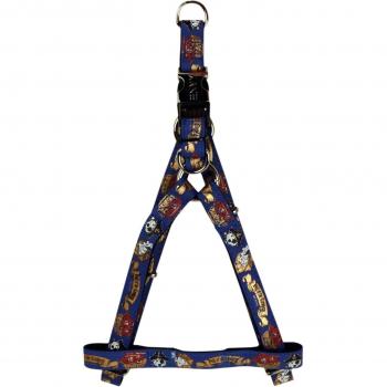 Nautical Knight Blue Dog Gear