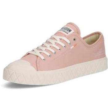 Ace Palladium Sneaker Org