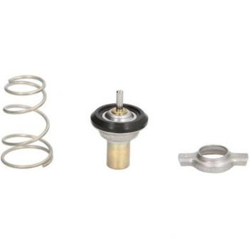 THERMOTEC Thermostat d'eau D2F002TT 87°C pour FIAT, LANCIA, AUTOBIANCHI (PANDA 169, PUNTO 188)