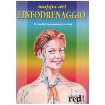 Mappa del Linfodrenaggio