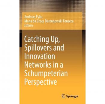 Catching Up, Spillovers and Innovation Networks in a Schumpeterian Perspective