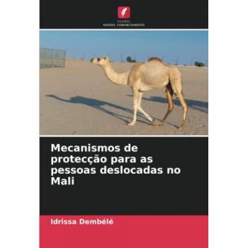Mecanismos de protecção para as pessoas deslocadas no Mali