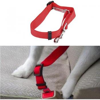 Pet Travel Safety Clip