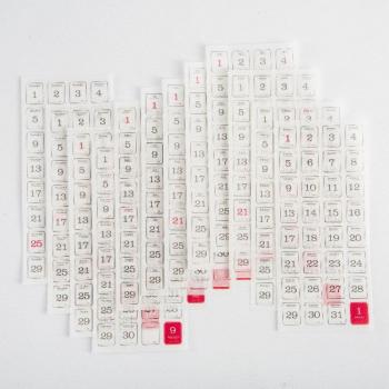 12 pcs Natural Year Experience Stickers