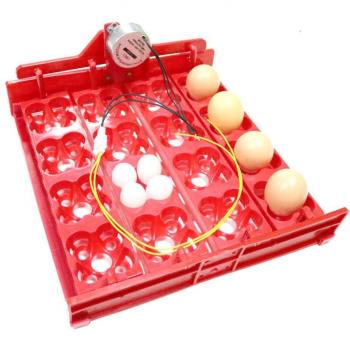 Hatching Incubator for 16 Chicken Eggs and 64 Quail Eggs with Automatic Turn