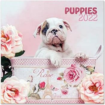 Chantrenne Dog Wall Calendar 2022