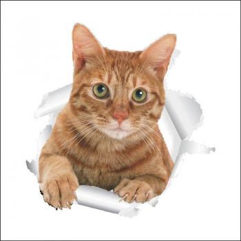 Pegatina Artística “Gatito Azul”