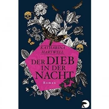 Der Dieb in der Nacht: Roman