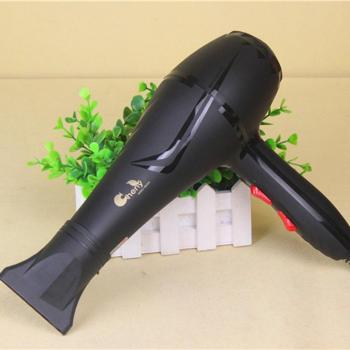 Black 2500W Heat Speed Hair Dryer