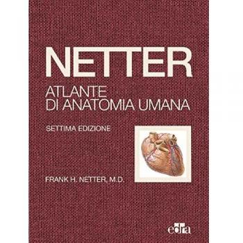 Netter. Atlante di anatomia umana