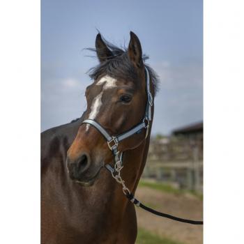Norton ‘Nylon Soft’ Headcollar in Dark Green
