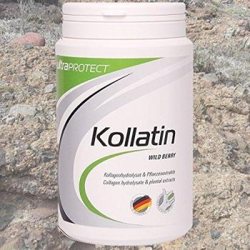 Ultra-Sports Kollagen-Protein 380g Dose, Wildbeere