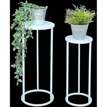 Set 2 Sgabelli Moderni “Rinascita Verde”
