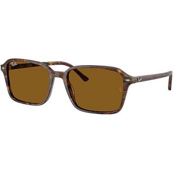 Lunettes de soleil Ray-Ban Raimond RB2231