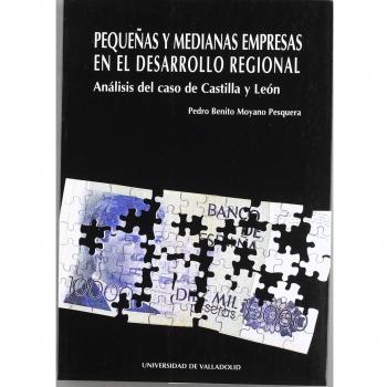 Pequeñas y medianas empresas desarrollo regional.