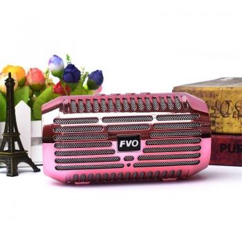 Portable Bluetooth Speaker with Radio