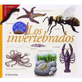 Los invertebrados