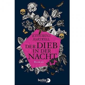 Der Dieb in der Nacht: Roman