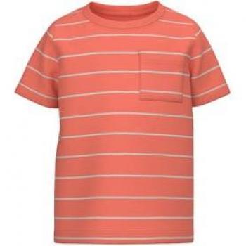 Camiseta Nmmves Coral Moderno