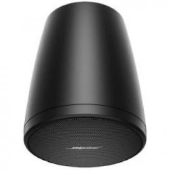Bose FreeSpace FS2P Wall-Mount Speaker