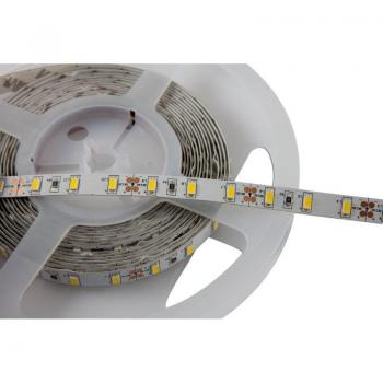 Striscia Flex 500 cm Bianco Caldo – Synergy 21