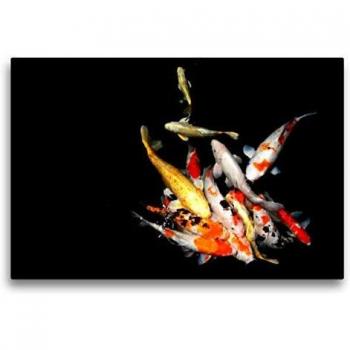 Glücksquell Koi-Leinwand 75 × 50 cm – HD-Bild auf Keilrahmen