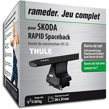 Rameder Pack, Barres de Toit Audiobuds Compatible avec Skoda Scala (132357-11519-4-FR)