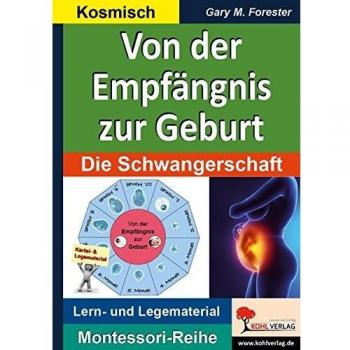 Von der Empfängnis zur Geburt: Die Schwangerschaft