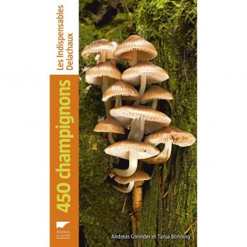 450 champignons