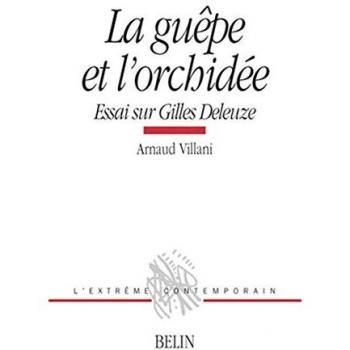 La guêpe et l'orchidée