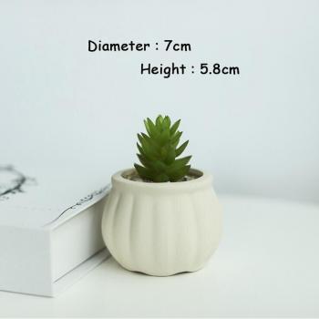 Cactus Chic Station