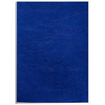 Pochettes de Protection Fellowes Delta Bleu Royal pour Documents A4