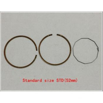 BWS100 52mm Piston Kit