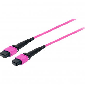 Equip 3M MTP Violet Fiber Optic Cable