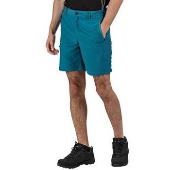 Regatta Herren Leesville II Freizeit Shorts